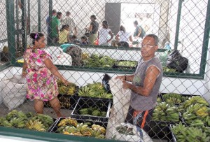 prefeitura-de-ilheus-mantem-servicos-e-programas-para-o-publico-da-agricultura-familiar_foto-seap-ilheus-4