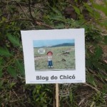 Blog do Chicó_31_jan_17-1-504x284