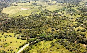 Área destinada à ZPE que será visitada pela comitiva - Foto José Nazal.