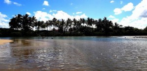 Estuário do Cururupe. Foto: Maurício Maron. 