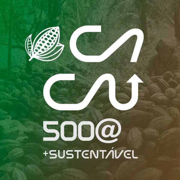 Encontro Cacau 500@ + Sustentável debate novas tecnologias e aumento da produtividade